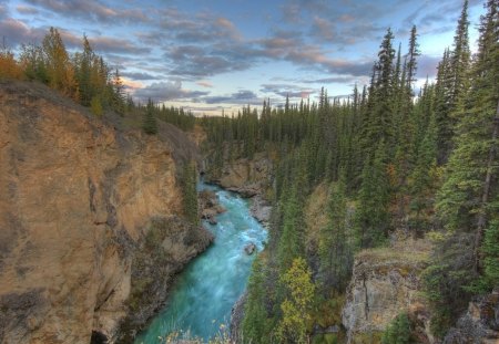 beautiful river gorge - gorge, forest, rive, cliffs