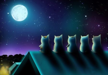 Cats loving the moon - abstract, cat, night, animal, cute, kitten