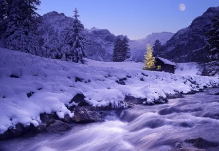 Blessed tree - winter, nature, scenery, snow