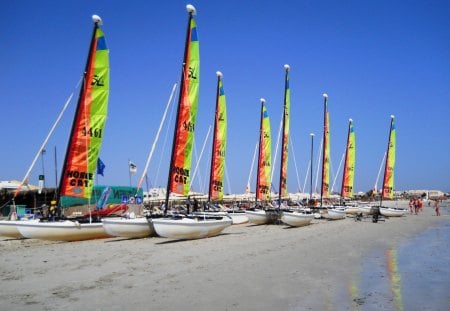 Hobie cats - sail, colors, hobie cat, beach