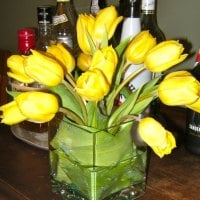 EVENING WITH TULIPS