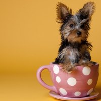 Polka dots are always in fashionâ™¥