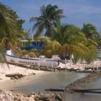 Docked on the Beach