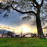 pedestrian bridge in a park