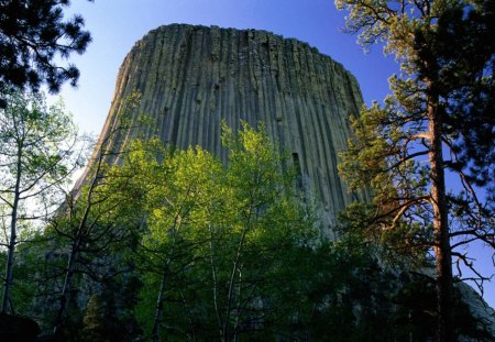 beautiful devil's tower in wyoming - rock, trees, formation, monument