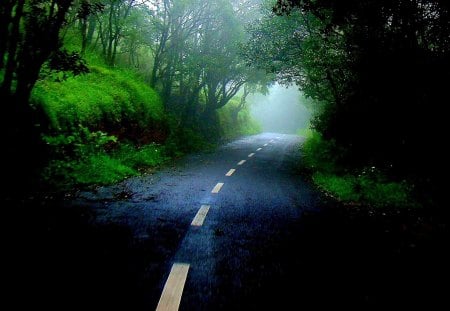 Street to nowhere - pretty, magic, landscape, forest, path, view, rue, way, trees, fog, beautiful, colors, street, black, colorful, nature, green