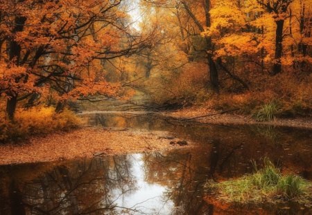 *** Simply Beautiful Autumn *** - las, rzeka, drzewa, natura, jesien