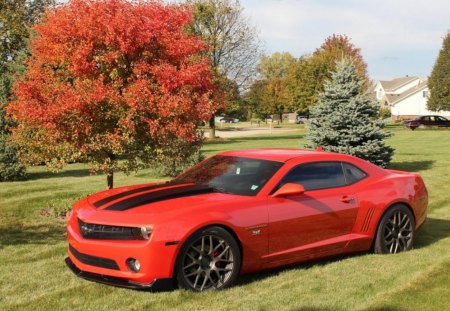 Camaro autumn - ss, zl1, chevrolet, camaro