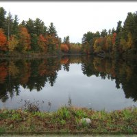 Fall Pond, Clinton County NY