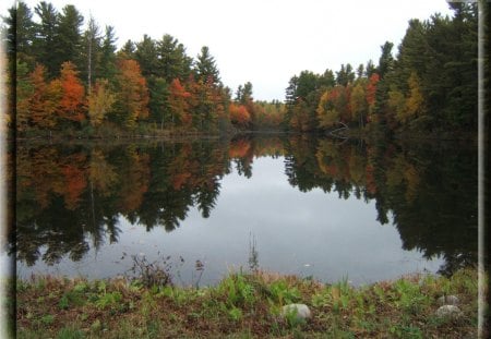 Fall Pond, Clinton County NY - reflections, fall, trees, autumn, fall foliage, foliage