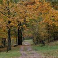 Poke-A-Moonshine Trail in Autumn