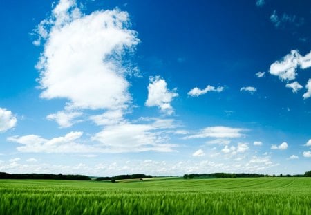 Greenfield - cloud, sky, cool, scenery, field, blue, green, grass