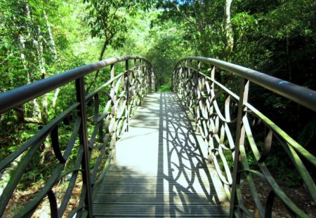 Little bridge in the forest - in the forest, mountain, little bridge, shadow