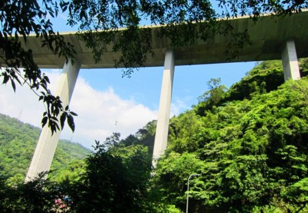 High bridge - sky, mountain, tree, bridge, high