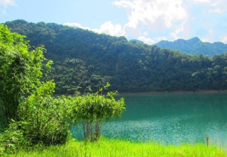 Scenic lake - lake, mountain, reflection, clouds, beautiful, blue sky, tree, grasses