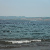 Pelicans looking for a meal