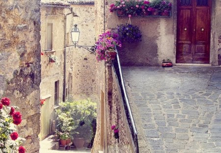 flower alley - pot flowers, street, architecture, alley