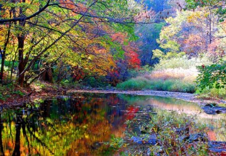 Fall colors - park, autumn, pond, fall colors