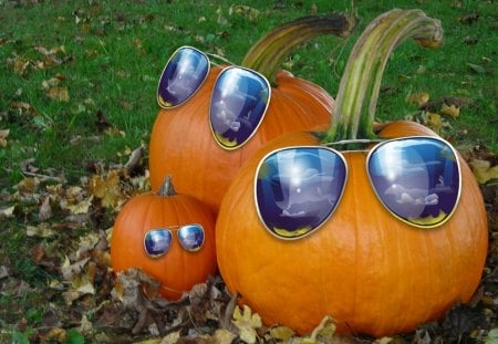 we are very modern - pumpkins, sunglasses, funny, blue