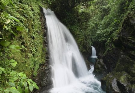 la paz waterfall in costa rica - gorge, trees, stream, waterfall, duel