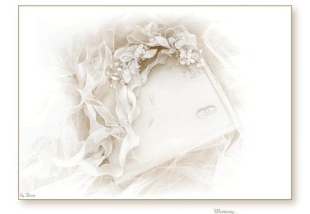 Memory - wedding, memory, lace, flowers, book, other