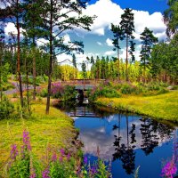 Bridge over small forest river