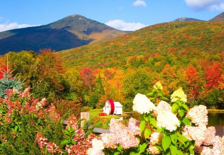 New Hampshire panorama - pretty, bushes, leaves, flowers, fresh, view, nice, sky, clouds, falling, new hampshire, trees, beautiful, mill, colors, lovely, harmony, fall, slopes, colorful, nature, autumn, panorama, america, foliage