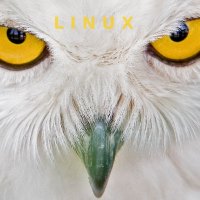 Linux Owl