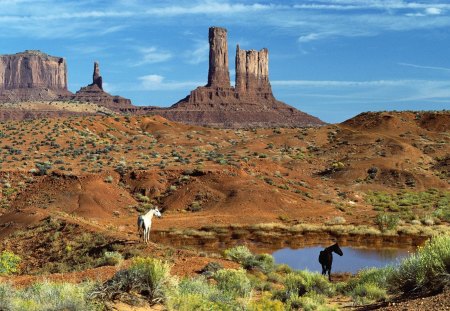 Wild Horses at the Watering Hole - Monument Valley