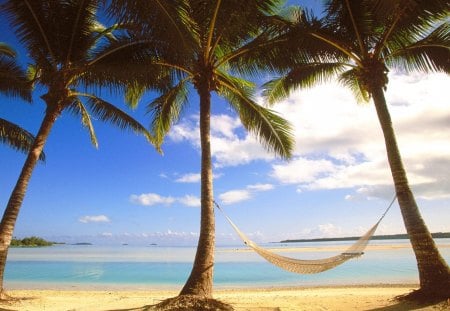 Beach Hammock - Aitutaki, Cook Islands - nature, beaches, palm trees, aitutaki, hammock, cook islands, wallpaper, new