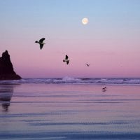 Cannon Beach, Oregon