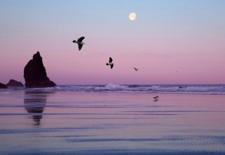 Cannon Beach, Oregon - nice, beaches, sky, water, rocks, white, oceans, amazing, purple, cool, birds, moon, islands, oregon, wawes, cannon beach, nature, cannon, blue, beautiful, awesome, sea