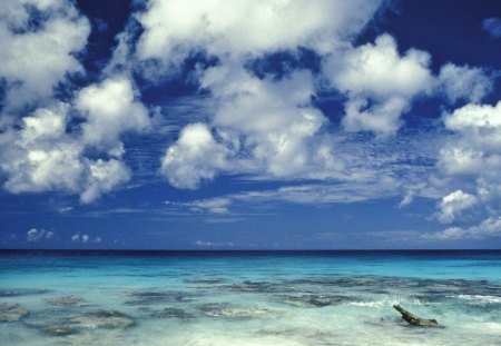 Untitled Wallpaper - netherlands, antilles, bonaire