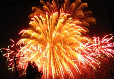 Fireworks - sky, dark, light, night, plumage, colors, explosions