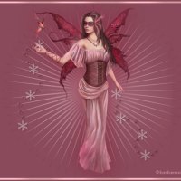 Pink Fairy