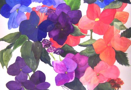 Hydrangeas - flowers, colors