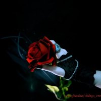 Gothic Rose