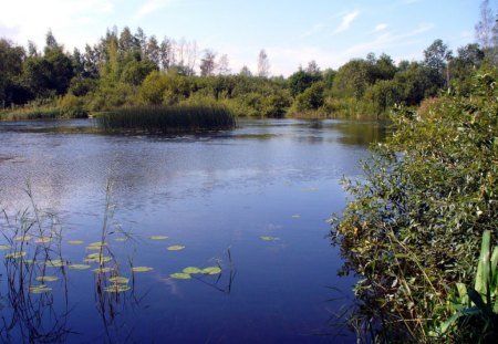 	Small pond - pond, small