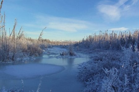 Winter lake  - winter, blue sky, lake, frozen pound, frozen lake, pound