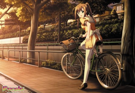 A Pause - school girl, bike, anime, sunset, anime girl