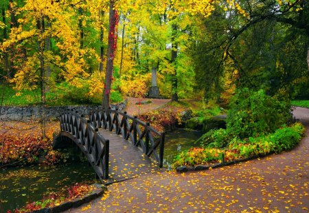 Autumn forest - pretty, quiet, grass, forest, leaves, calmness, path, nice, falling, beautiful, lovely, fall, nature, autumn, foliage, bridge, park