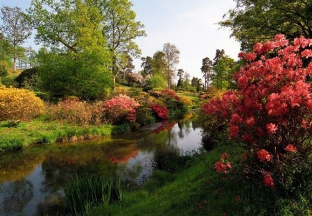 Sussex Gardens - nature, pink, stream, flowers, garden