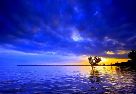 ANOTHER DAY ENDS! - lake, tree, nature, sunset