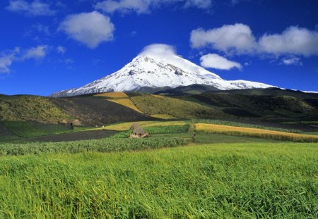 magnificent mountain landscape - crops, fields, mountain, clouds