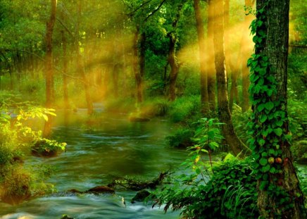 Magical forest - magic, creek, stream, forest, magical, path, nice, enchanted, sunlight, trees, water, beautiful, sunshine, lovely, river, nature, rays, green