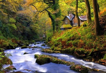 Forest cottages - nice, trees, water, stream, colorful, cottages, creek, quiet, calmness, pretty, river, grass, houses, summer, lovely, serenity, peacweful, nature, woods, forest, beautiful, cabin