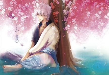 Anime boy - sakura, tree, anime, boy