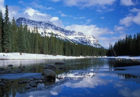 Bow River - nature, landscape, beautiful, river, scenery