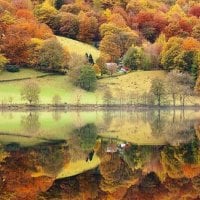 autumn reflection