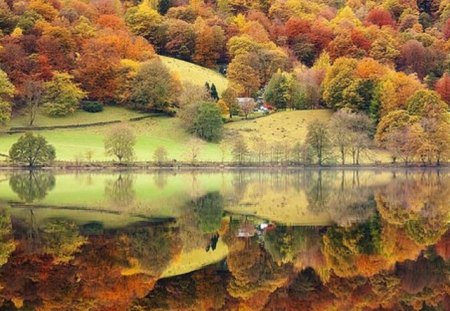 autumn reflection - lake, reflection, nature, autumn